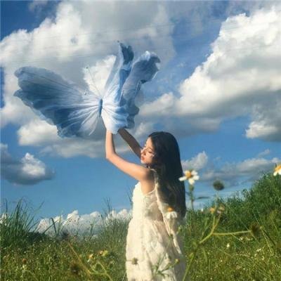 悬案密码2:野鸡杀手
