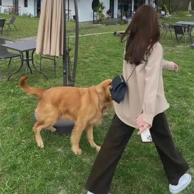 暗影连